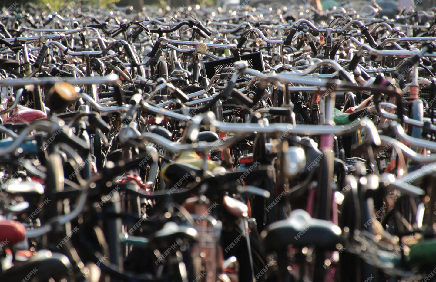 A bunch of bikes